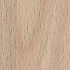 Casentino Beech