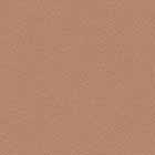 Copper Leaf