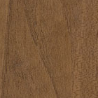 European Walnut