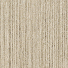 Gesso Lini