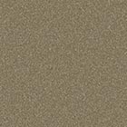 Pewter Metallic