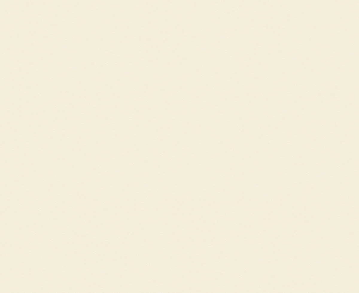 Moleskin Satin